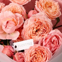 kustovaya roza dzhuletta 7